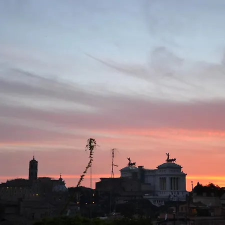 Cardello Colosseum Rome
